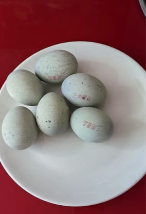 皮蛋6只。