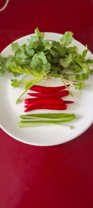 葱两条，辣椒5个。香菜预备两条。
