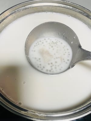 Assaisonnement : Ajoutez le sucre candi au taro cuit et remuez jusqu’à dissolution complète. Versez ensuite le lait de coco et le lait concentré sucré, goûtez et ajoutez du sucre candi si nécessaire (la saveur sucrée diminuera après refroidissement, vous pouvez donc l’accentuer légèrement). Enfin, ajoutez les perles de sagou égouttées et laissez mijoter à feu doux jusqu’à frémissement, puis retirez du feu.
L’ajout du lait de coco et du lait concentré sucré en dernier permet d’éviter que la saveur de la noix de coco ne s’évapore à cause d’une ébullition prolongée, et prévient également l’altération du goût du lait concentré sucré par la chaleur.