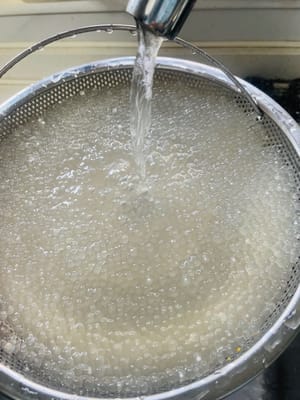 Versez suffisamment d’eau dans une casserole et portez à ébullition à feu vif. Ajoutez le sagou et faites cuire 10 minutes en remuant constamment pour éviter qu’il ne colle. Lorsqu’il est translucide à l’extérieur et qu’un petit cœur blanc se forme au centre, égouttez-le et rincez-le à l’eau froide (pour enlever l’adhérence). Ajoutez à nouveau de l’eau bouillante et laissez cuire 5 minutes. Éteignez le feu, couvrez et laissez reposer 15 minutes, jusqu’à ce que le sagou soit complètement translucide. Enfin, rincez-le à l’eau bouillante refroidie et égouttez-le. Le sagou sera ainsi plus moelleux et moins collant.