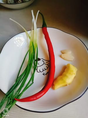 10 g rote Paprika, 5 g Ingwer, 10 g Knoblauch, 5 g Frühlingszwiebeln
