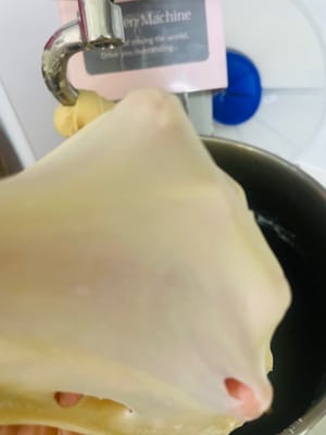 จากนั้นเริ่มนวดด้วยความเร็วสูงจนกระทั่งคุณสามารถยืดแป้งให้เป็นแผ่นบางๆ ที่มีขอบหยักเล็กน้อย นี่คือขั้นตอนที่กลูเตนพัฒนาได้ 80%

ใส่เนยที่อ่อนตัวแล้วลงไป เริ่มด้วยการนวดด้วยความเร็วต่ำเพื่อให้เนยผสมเข้ากับแป้งอย่างทั่วถึง จากนั้นเปลี่ยนเป็นความเร็วสูง

นวดต่อไปจนกระทั่งคุณสามารถยืดแป้งให้เป็นแผ่นบางๆ โปร่งใสคล้ายถุงมือ นี่คือขั้นตอนที่กลูเตนพัฒนาได้ 100% และการนวดเสร็จสมบูรณ์