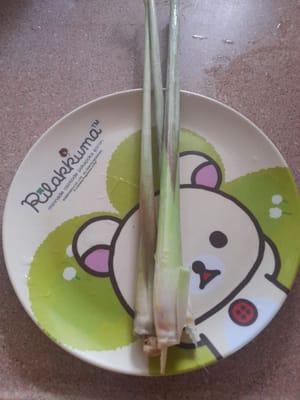 柠檬草茎