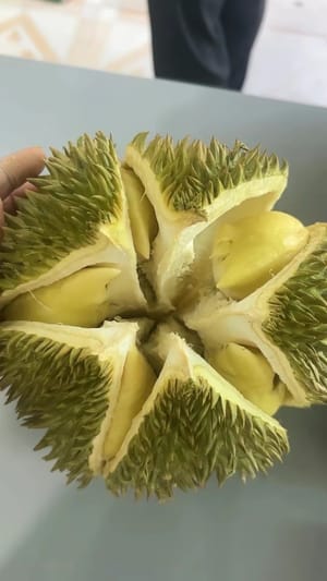 150g durian flesh or banana