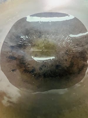 鍋裡倒油,先把肥五花肉放進去煉油,中小火慢煉,記得蓋鍋蓋!要操作的時候先關火或調小火,等鍋裡不噼裡啪啦響了再開蓋,別被油濺到毀容,煉個2-3分鐘就行。
再把瘦五花肉也倒進去一起炒,還是蓋著鍋蓋防濺油,炒到肉的兩面有點焦焦的香感,這味兒就對了。