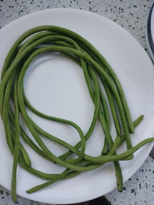 kacang panjang