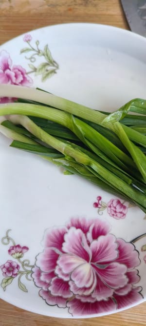 Zwei Knoblauchsprossen