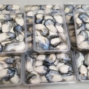 生蚝肉250克