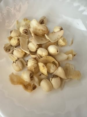 Lotus seeds