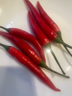 piccoli peperoncini rossi