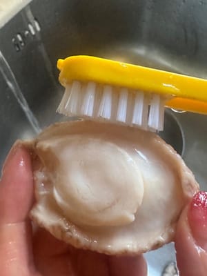 Inizia pulendo l'abalone utilizzando una spazzola per pulirne i bordi (chiedi al pescivendolo di togliere la polpa dal guscio)