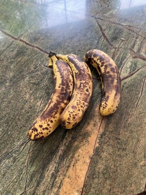 plátanos grandes y maduros