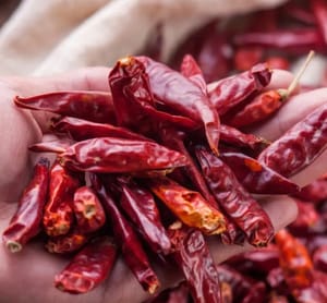 Dried chili pepper