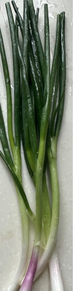 una cebolleta.