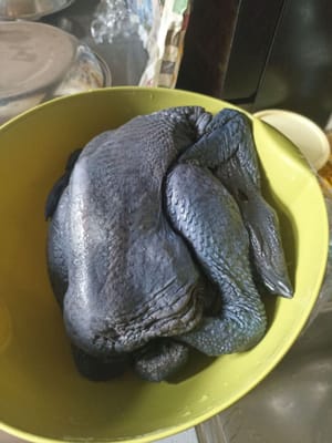 schwarzer Hühnerschwanz