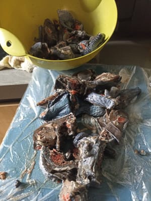Schneidet das schwarze Huhn in Stücke, ganz nach eurem Geschmack, Freunde.