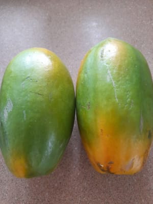 1/2 reife Papaya