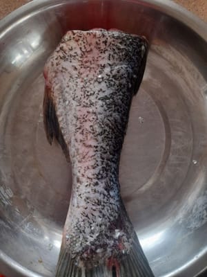 Fischschwanz