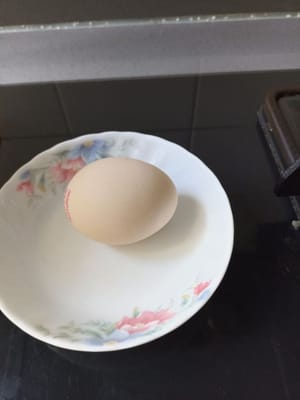 prendre uniquement le blanc d'œuf