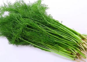 250 g de fenouil frais