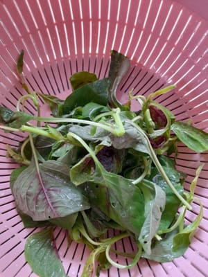 Mettere a bagno gli spinaci, aggiungere 1/2 cucchiaino di sale, lasciarli in ammollo per ± 10 minuti, toglierli e scolarli