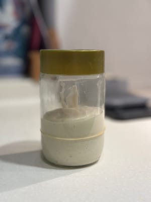 Après une heure ou lorsque la pâte a doublé de volume, la placer au réfrigérateur et la laisser reposer toute la nuit, pendant au moins 12 heures.
