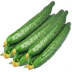 concombre