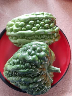 gr bitter melon