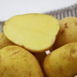黃心薯仔