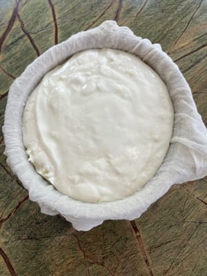 作ったプレーンヨーグルトをボウルに注ぐ