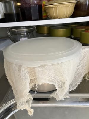 ボウルに蓋をして冷蔵庫に一晩入れます。