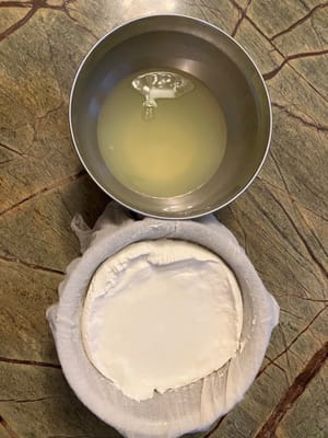 プレーンヨーグルトからホエーを分離し、ギリシャヨーグルトを作りました。