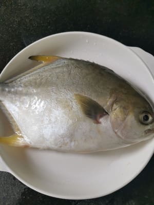 鯧魚尾