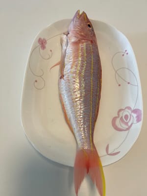 Poisson rouge scintillant