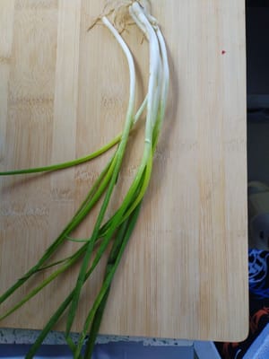 파 10g