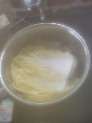 dann in Kan geben und etwa 1/2 Minute kochen lassen