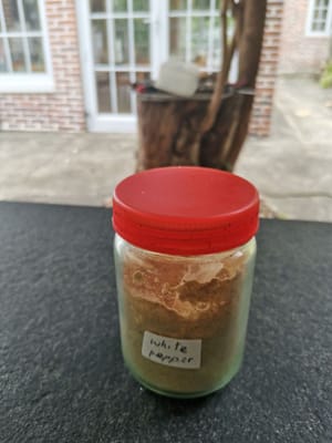 Pfefferpulver