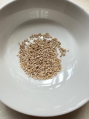 semillas de sésamo